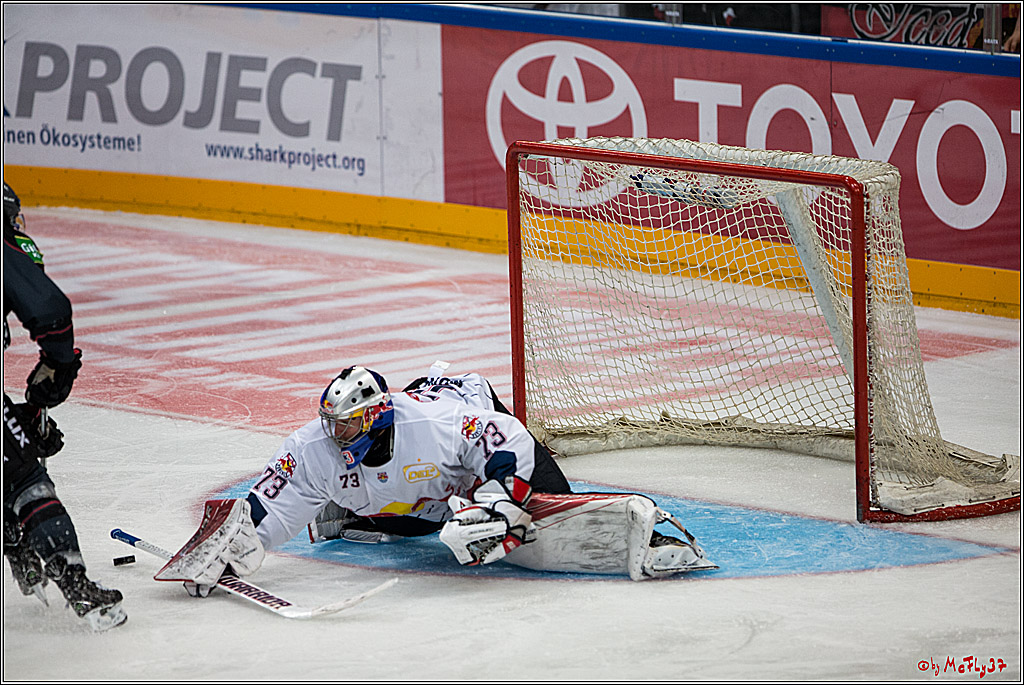 Koelner Haie - EHC Red Bull Muenchen , 16.09.16(KW37)